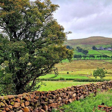 Beech Tree Cottage Glenwherry Exteriér fotografie