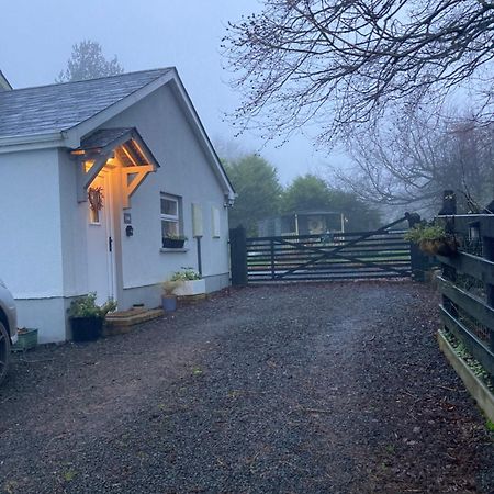 Beech Tree Cottage Glenwherry Exteriér fotografie
