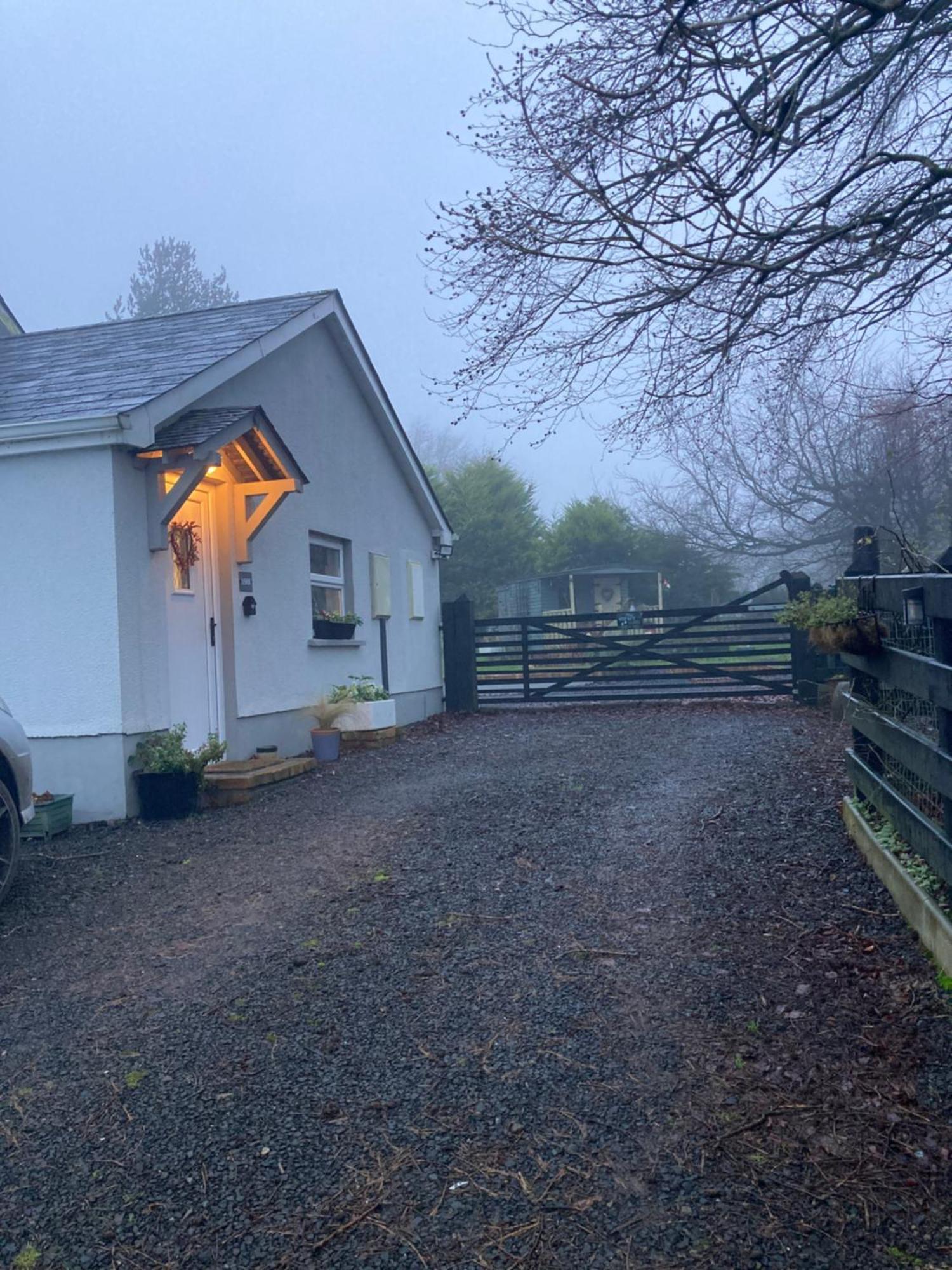 Beech Tree Cottage Glenwherry Exteriér fotografie